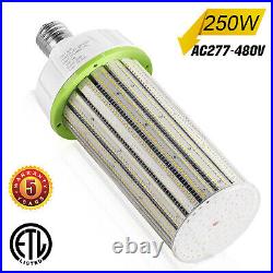 480Volt Commercial LED Corn Light 250W Industrial Warehouse Highbay Lamp 36500LM