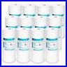 5-Micron-10-x4-5-Whole-House-Sediment-Water-Filter-Fit-For-Big-Blue-GE-GXWH40L-01-id