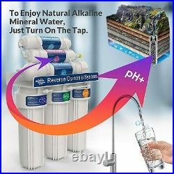 6 Stage 100 Gal Alkaline Reverse Osmosis RO Drinking Water Filter System