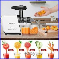 Juicer Fruit Vegetable Commercial Blender Juice Extractor Citrus Machine Maker