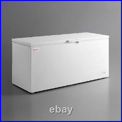NEW 19.4 cu. Ft. White Commercial Solid Swing Door Chest Freezer, 110 Volt