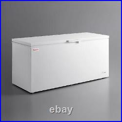 New 19.4 cu. Ft. White Commercial Solid Top Lock Swing Door Chest Freezer 110 V