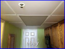 Washable PVC Ceiling Tiles EcoTile Smooth 2' x 2' White Drop Tile Mold Free